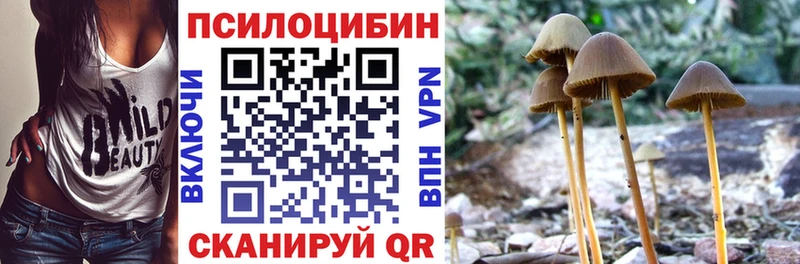 Галлюциногенные грибы Magic Shrooms Дмитровск